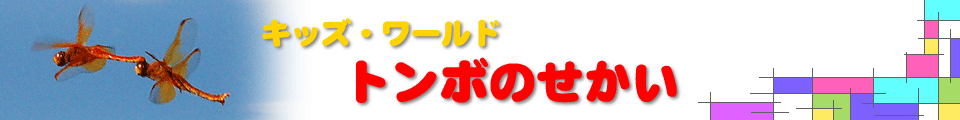 �L�b�Y�E���[���h�@�g���{�̂�����