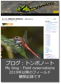 ブログ：トンボノート My blog : Field Ovservations