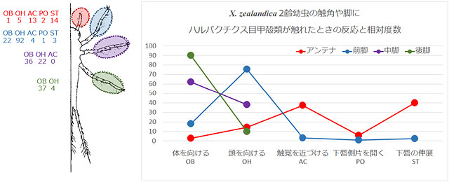 �n���p�N�`���X�ڍb�k�ނ��G�ꂽ�Ƃ��̔���