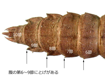 TT}̂傭