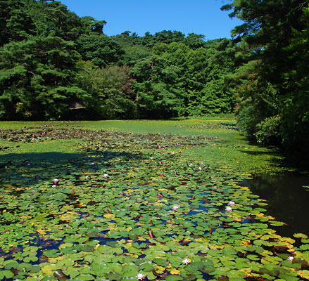 神戸市立森林植物園にある長谷池