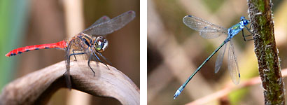 t@C 119-3.jpg
