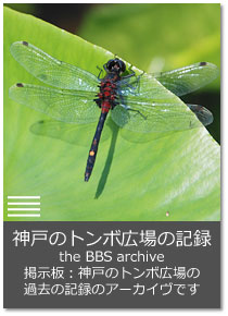 神戸のトンボ広場の記録 the BBS archive