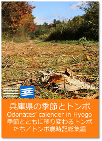 Ɍ̋G߂ƃg{ Odonates calender in Hyogo