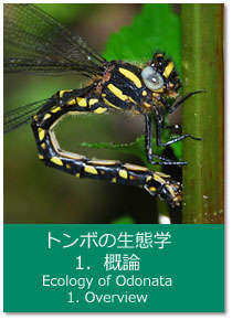 トンボの生態学 1.概論 Ecology of Odonata : 1. Overview