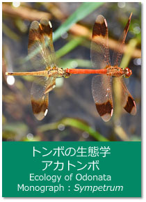 トンボの生態学 モノグラフ：アカトンボ Ecology of Odonata : Monograph. Sympetrum