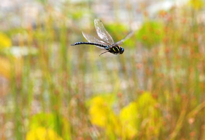 ファイル 106-1.jpg