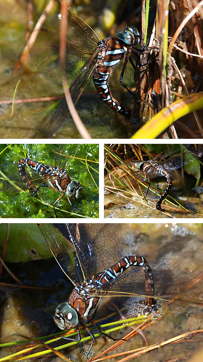 ファイル 106-2.jpg