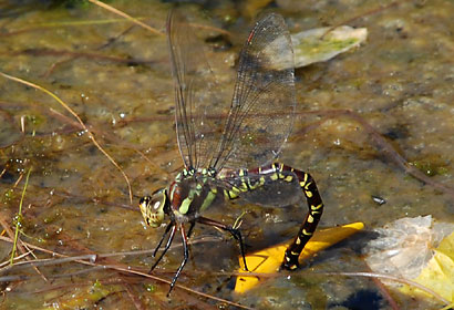 ファイル 106-3.jpg