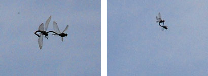 ファイル 106-4.jpg